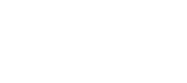 Turtle and Hughes Logo