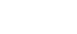 Turtle and Hughes Logo